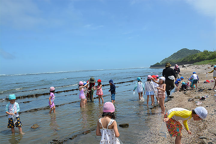 サマーキャンプ海岸で遊ぶ